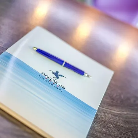 Pegasos Deluxe ホテル